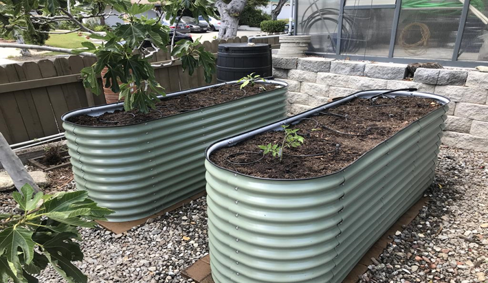You Need To Follow The Checklist Before Creating Your Raised Garden Bed